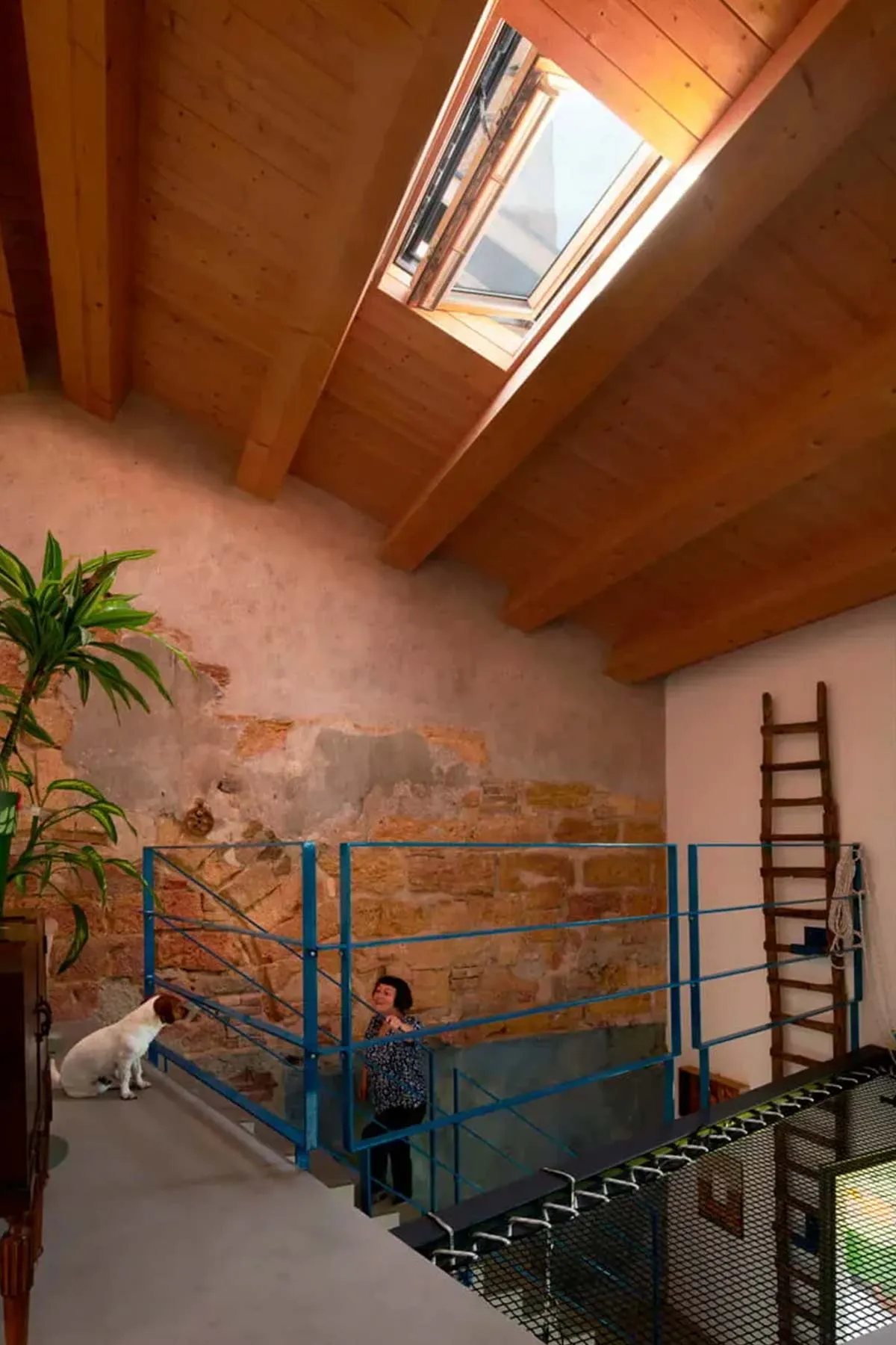 VELUX roof windows in Palermo.